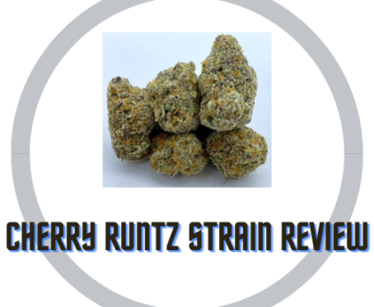 Cherry Runtz Strain Review